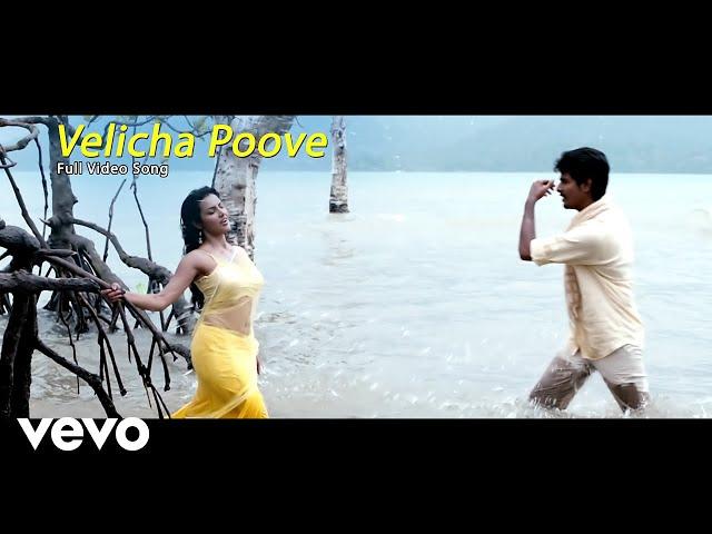 Ethir Neechal - Velicha Poove Video | Sivakarthikeyan, Priya