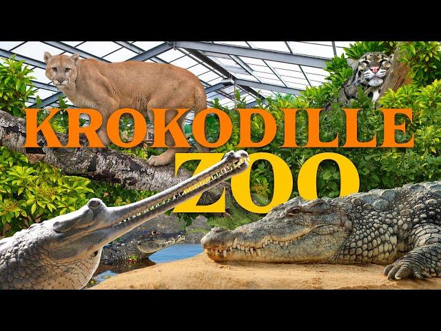 Krokodille Zoo Falster - The world's best Crocodile Zoo?