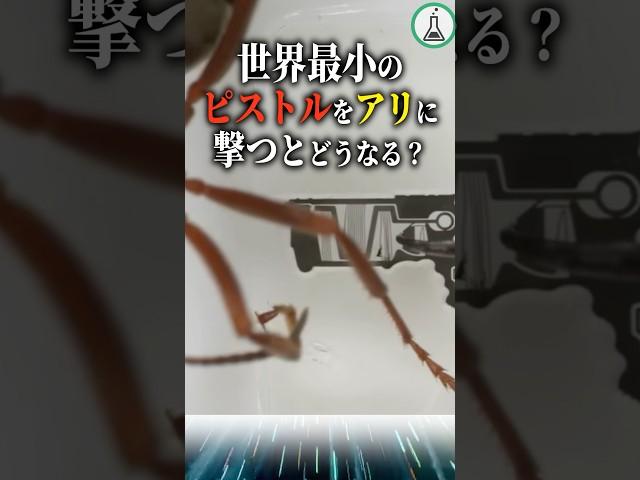 世界最小のピストルをアリに撃つとどうなる？#科学 #ゆっくり解説 #雑学