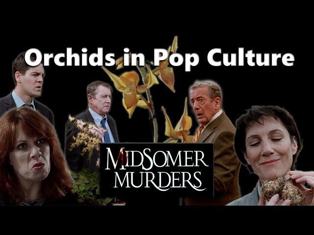 Orchids in Pop Culture // An Orchid Murder Mystery!