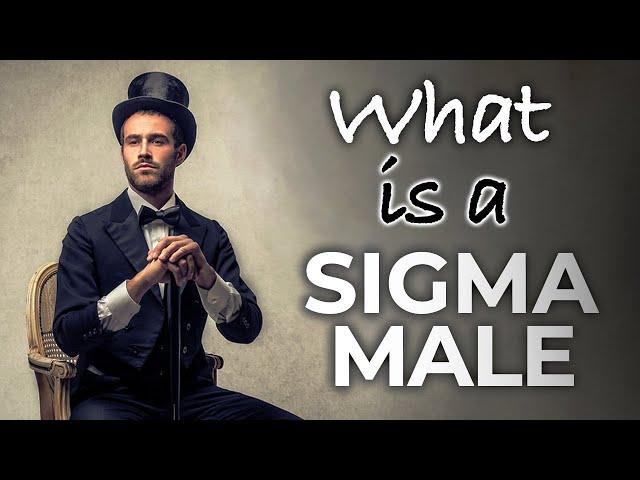 What is a Sigma Male? How to Spot the Sigma Males?