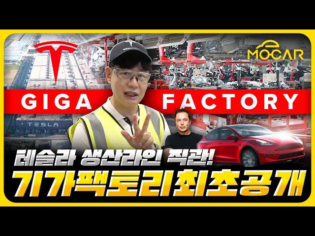 World's first reveal of the Tesla Gigafactory in Shanghai!