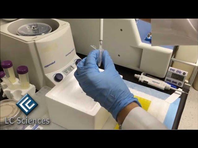 RNA Sample Shipping Instructions