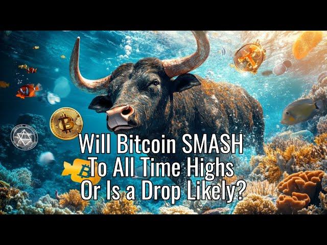 The Daily Update - Will Bitcoin SMASH To All Time Highs Or Is a Drop Likely?