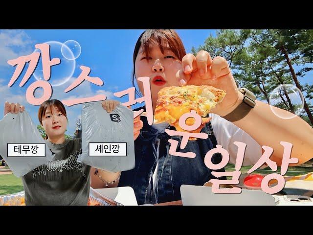 소비 요정 일상 브이로그 여름 맞이 테무&셰인깡 해봤습죠️ 황당했던 강아지 빌런. 집밥 말아 먹는 일상.올라플렉스