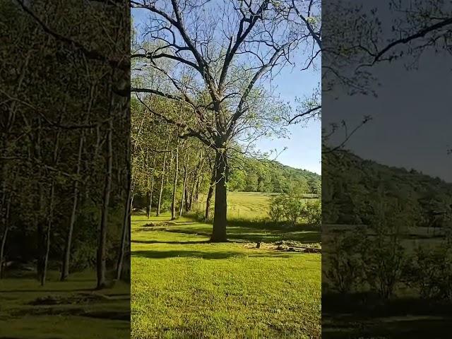 Explore the beauty of country living #farm