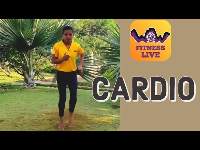 Workout 17 | Cardio | Health and Wellness Workshop #stayhome #staywow