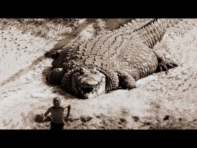 TOP 10 BIGGEST CROCODILES In The World