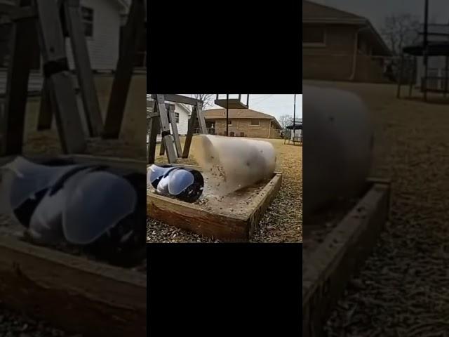 Squirrel vs RC #shorts