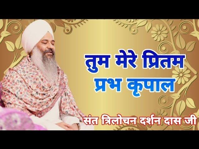 Tum Mere Preetam Prabh Kirpal.. Sant Trilochan Darshan Das Ji