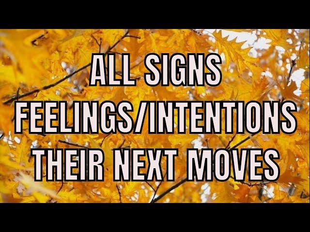 All Zodiac Signs Their Feelings Intentions Next Moves