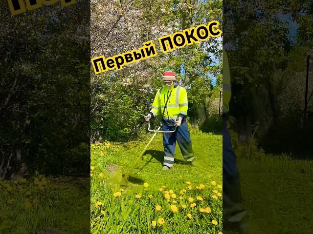 КРАСИВАЯ ЛУЖАЙКА #огород #дача #грядки #сад #стройка #газон #рассада #юмор