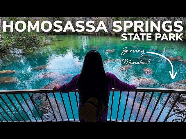 Homosassa Springs State Park: Another Incredible Manatee Refuge During Winter in Florida!