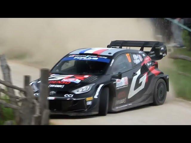 WRC TRIBUTE 2024: Maximum Attack, On the Limit, Crashes & Best Moments