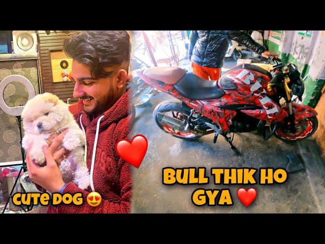 Finally Bull Thik Ho Gya ️ || Saksham Manhas || 