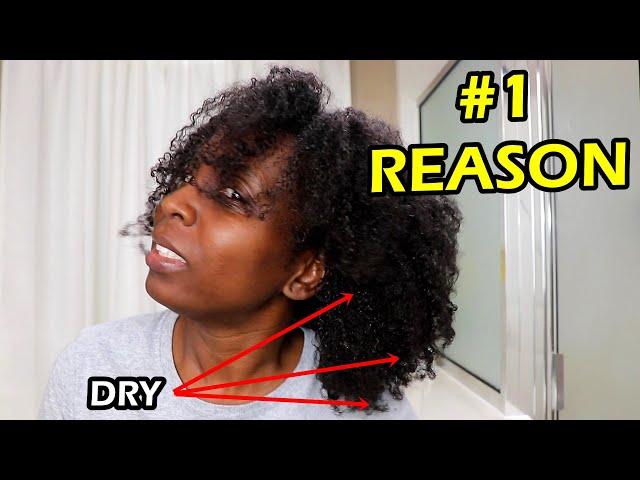 #1 Reason Why Your Hair is Not RETAINING MOISTURE | DiscoveringNatural