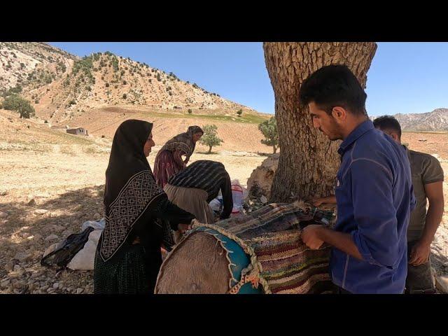 Nomadic Life: Reza and His Wife Embrace Mountain Living ️