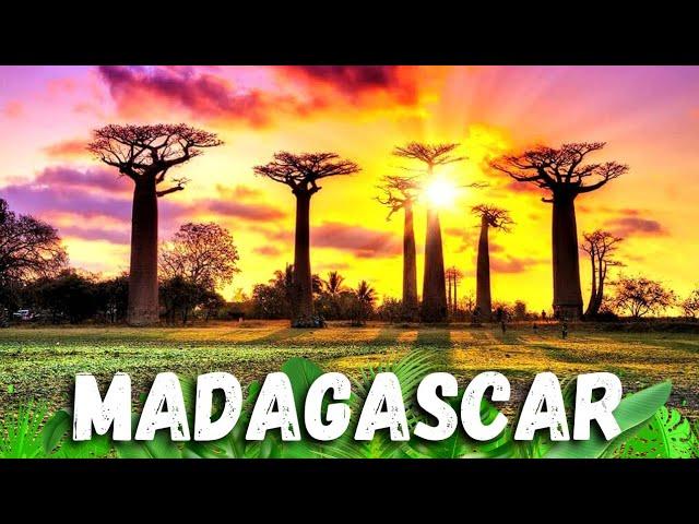 The 10 Great WONDERS of NATURE That Only Exist in MADAGASCAR - Great Tropical Forests Ep. 3