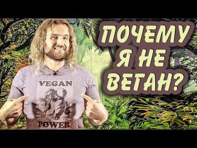 Почему Я Больше Не Веган?