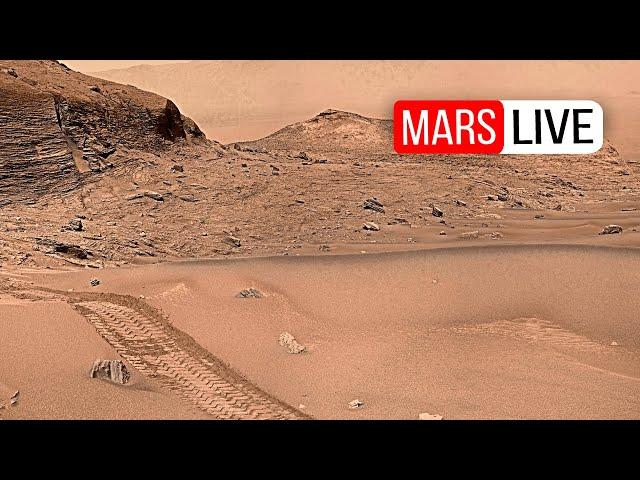 Breathtaking 4K Mars Panoramas Captured by Perseverance and Curiosity Rovers!