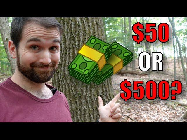 How Much Is a Tree Worth?