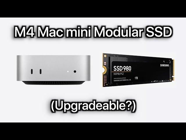 Mac mini M4 Modular SSD (Upgradeable?)