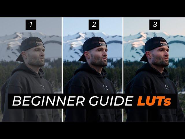 How Yo Use LUTs On Your Videos: The Beginner Guide