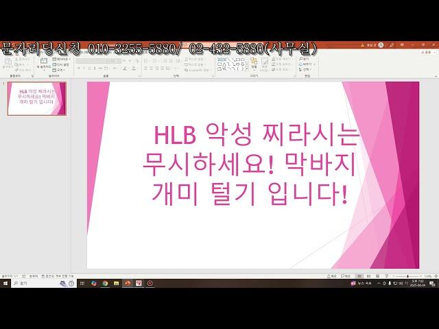 HLB 악성 찌라시 무시하세요! 막바지 개미 털기 입니다! 간단 시황.