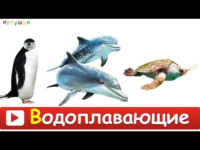 [ МОРСКИЕ ЖИВОТНЫЕ для ДЕТЕЙ ] с ГОЛОСАМИ. Развивающие ВИДЕО про морских животных для детей в HD