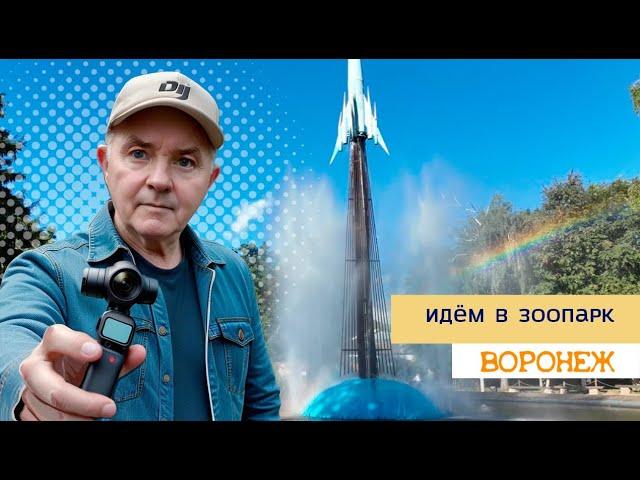 Идем в зоопарк, Воронеж, 9 08 24г