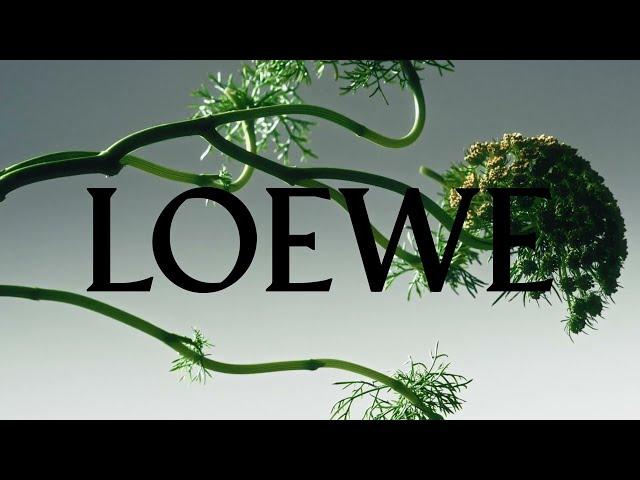 LOEWE PERFUMES | BOTANICAL RAINBOW AND HOME SCENTS - 30''