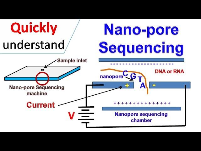 Nanopore sequencing