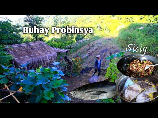 Simpleng Buhay Probinsya, Pagtatanim ng Pechay at Pagluluto ng Sisig na Tulingan Isda