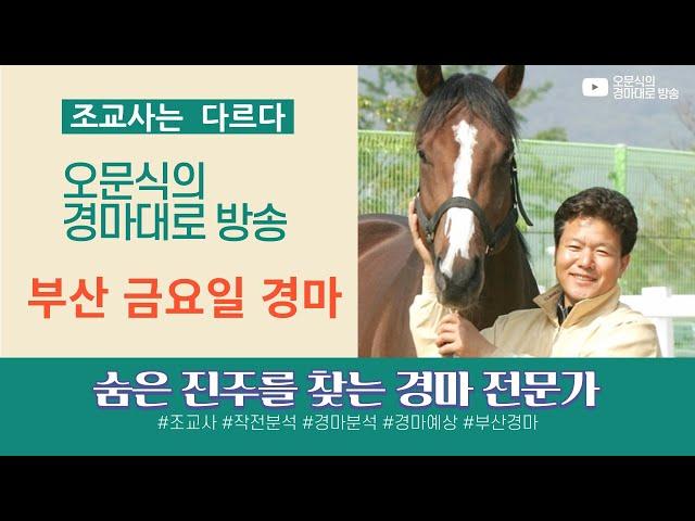 3월14일 금요일 부산경마,조교사가 분석하는 진실한방송,*오문식 경마강의체널*지난주 좋은감으로 금주도 최선을 다하겠습니다.#경마 #경마예상 #경마전문가 #부산경마 #오문식