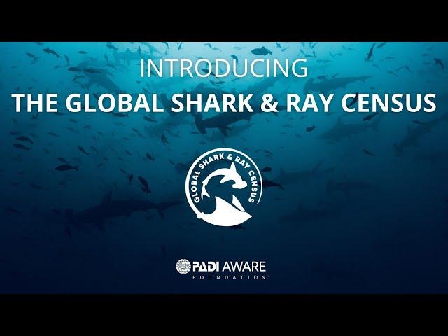 Introducing the Global Shark & Ray Census