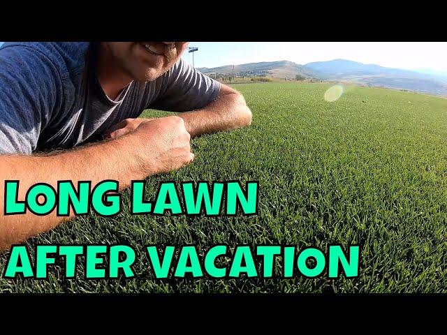 LONG LAWN AFTER VACATION Part 1  // Connor Ward