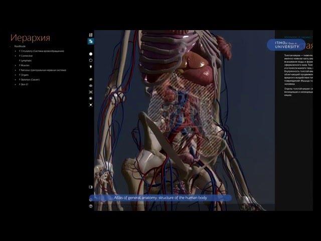 Atlas of General Anatomy