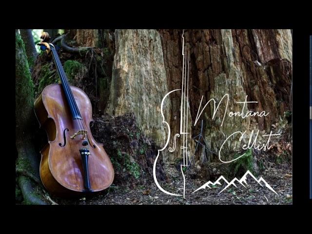 "Stillness" Cello, forest sounds, birds, water ambient 432 hz music nature series #6