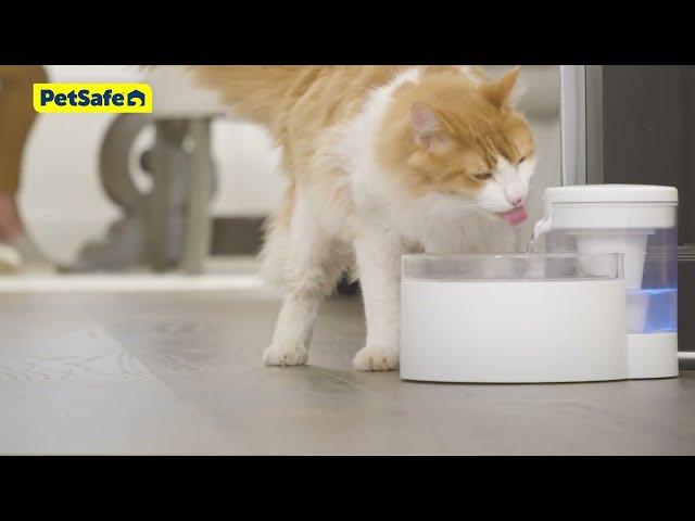 How to Assemble and Clean Your PetSafe®Outlast™ Pumpless Pet Fountain