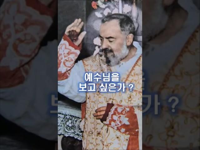 247. 예수님을 보고 싶은가?     #쇼츠 #가톨릭  #천주교  #성인 사제