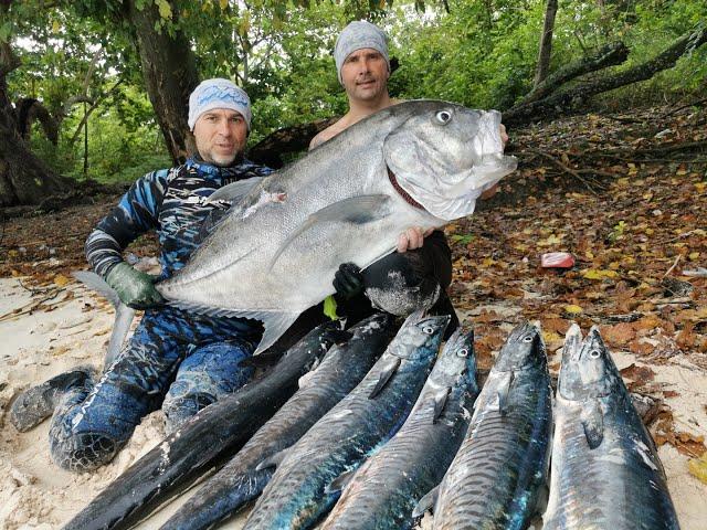 Spearfishing. Indonesia 2020. ...GT 39 kg ...