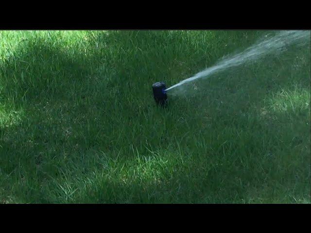 Lawn Sprinkler System Tour May 2022!