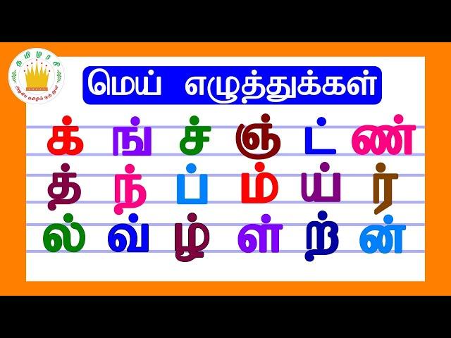 மெய் எழுத்துக்கள்|Mei Eluthukkal |Tamil Letters| Tamilarasi