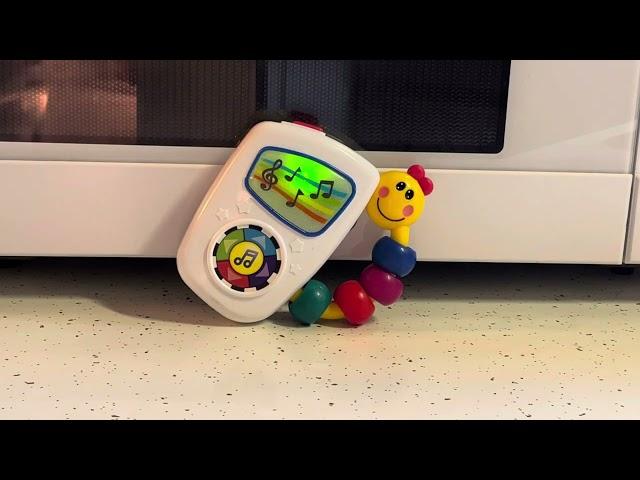 2016 Baby Einstein Take Along Tunes