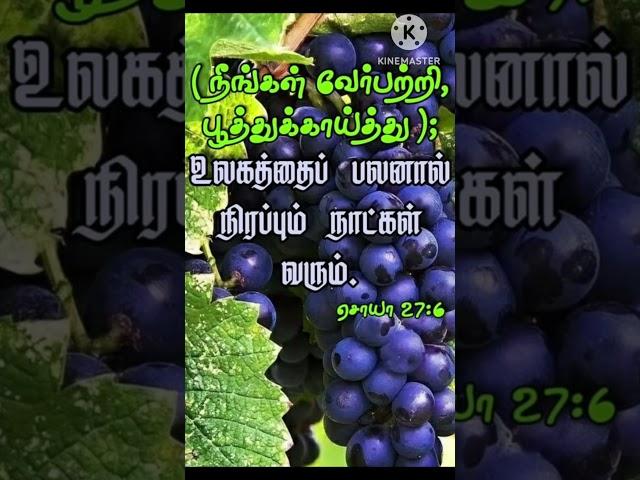 Aaruthalin Deivame/Tamil Christian Song/GRACE JESUS