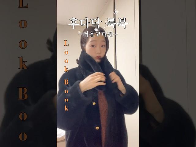 심플하지만 고급스러운 후다닥 룩북 겨울코디편️️ #코디 #룩북 #겨울코디 #코디룩 #패션 #코디룩 #코디추천
