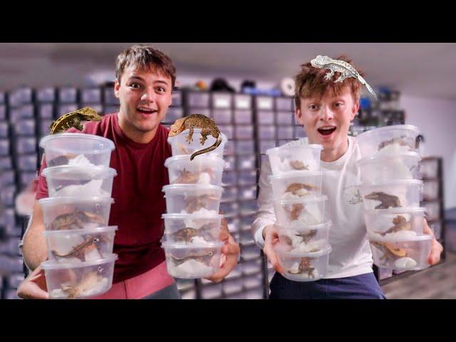 BUYING 20 NEW REPTILES WITH PAUL CUFFARO!!
