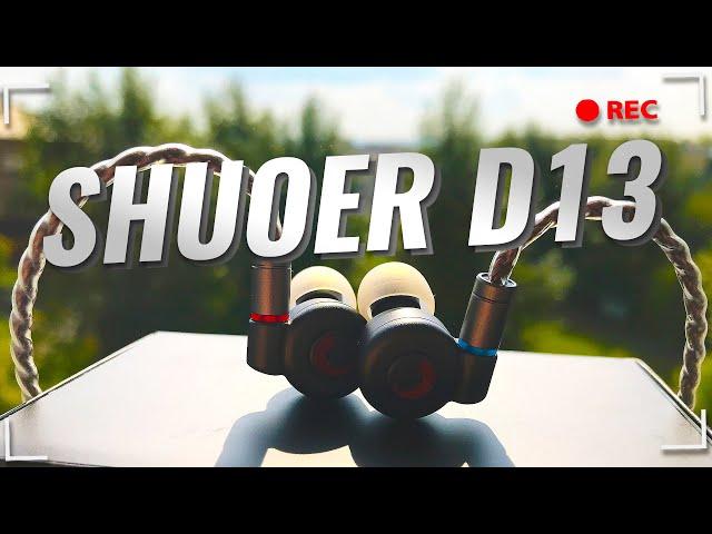 SHUOER D13 review  - Nice dynamic character.