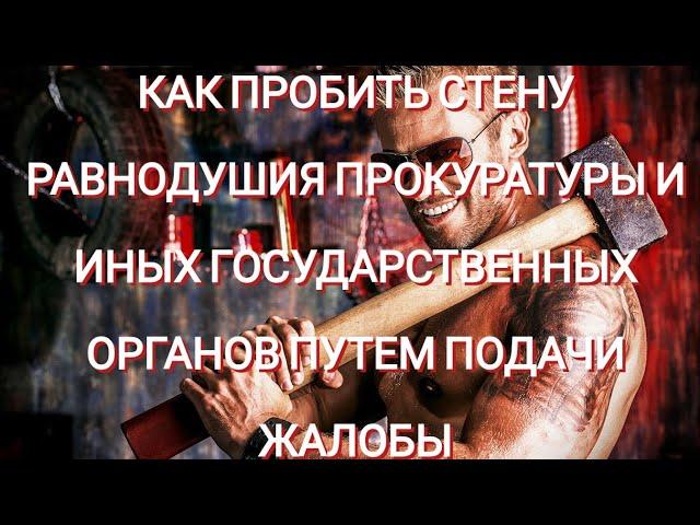 КАК ПРОБИТЬ СТЕНУ РАВНОДУШИЯ ПРОКУРАТУРЫ И ИНЫХ ГОСУДАРСТВЕННЫХ ОРГАНОВ ПУТЕМ ПОДАЧИ ЖАЛОБЫ