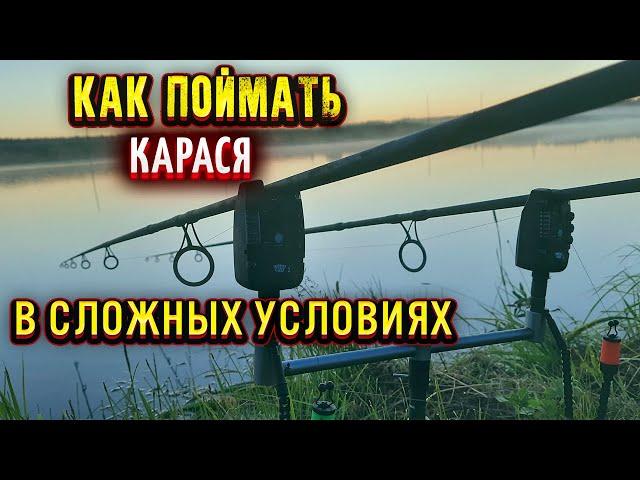 Ловля КАРАСЯ в сложных условиях на ФЛЭТ ФИДЕР как связать рабочий поводок для ФЛЭТа